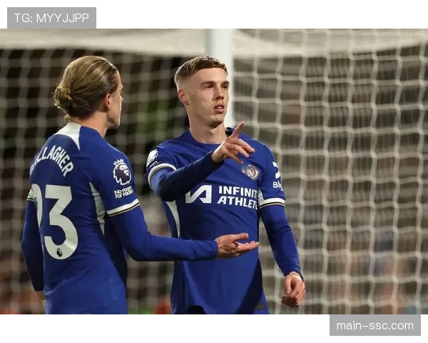 前裁判加拉格尔点评争议 埃弗顿获点球实属幸运案例 前裁判加拉格尔点评争议 埃弗顿获点球实属幸运案例